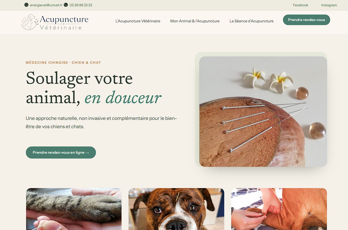 Page d'accueil du site internet créé pour Vet Acupuncture Bassin, acupuncture vétérinaire