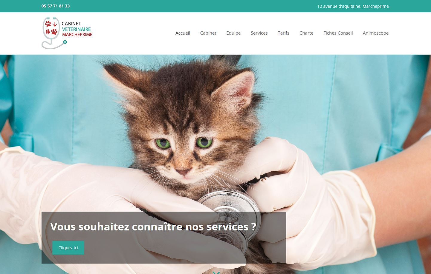 Page d'accueil du site internet créé pour le cabinet vétérinaire de Marcheprime