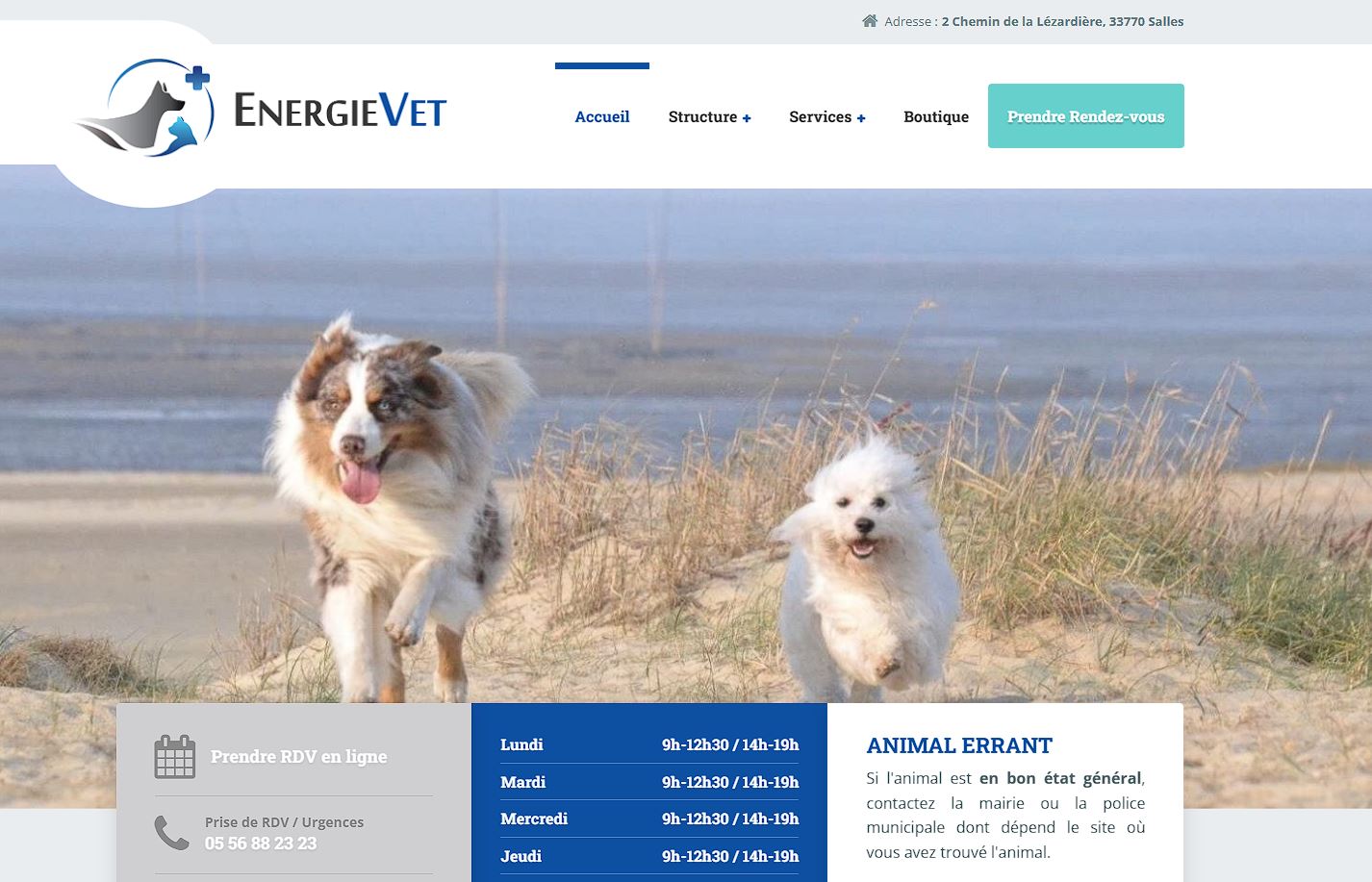 Page d'accueil du site internet créé pour le cabinet vétérinaire EnergieVet