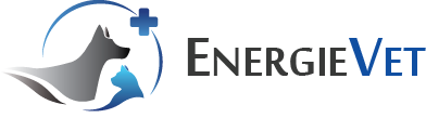 Logo de la clinique vétérinaire EnergieVet, créé par CliniqWeb