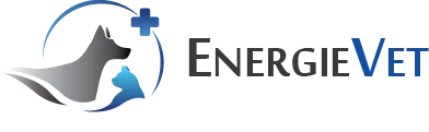 Logo de la clinique vétérinaire EnergieVet, créé par CliniqWeb