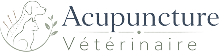 Logo Vet Acupuncture Bassin, créé par CliniqWeb